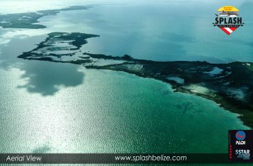 Placencia | A Paradise for Underwater Photographer