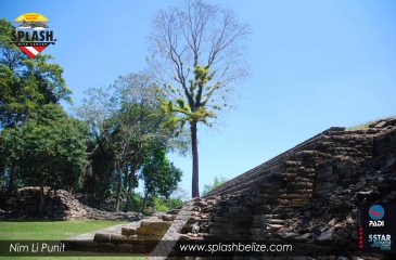 Visit to Nim Li Punit Maya Site