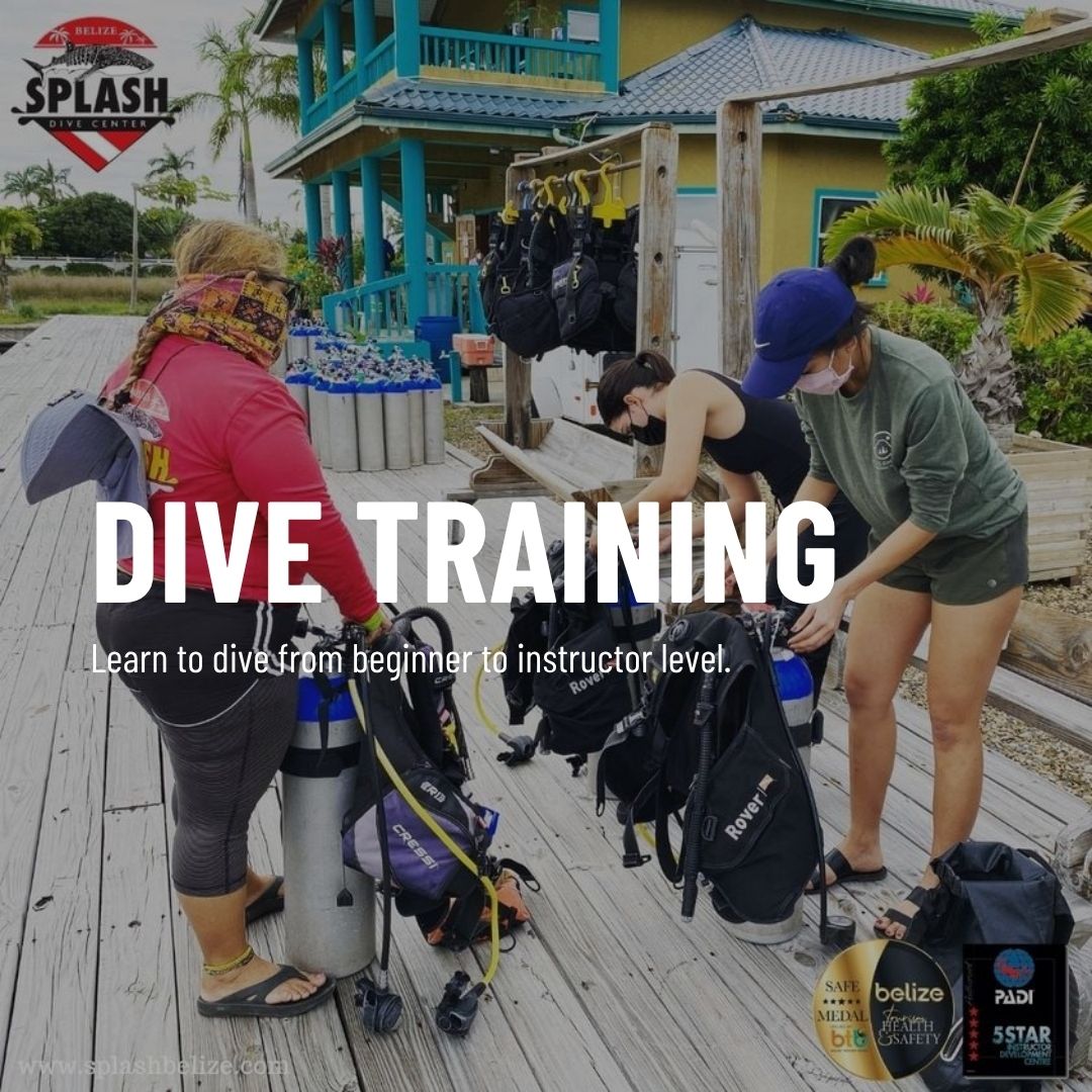 Scuba diver exploring vibrant coral reef underwater at Splash Dive Center