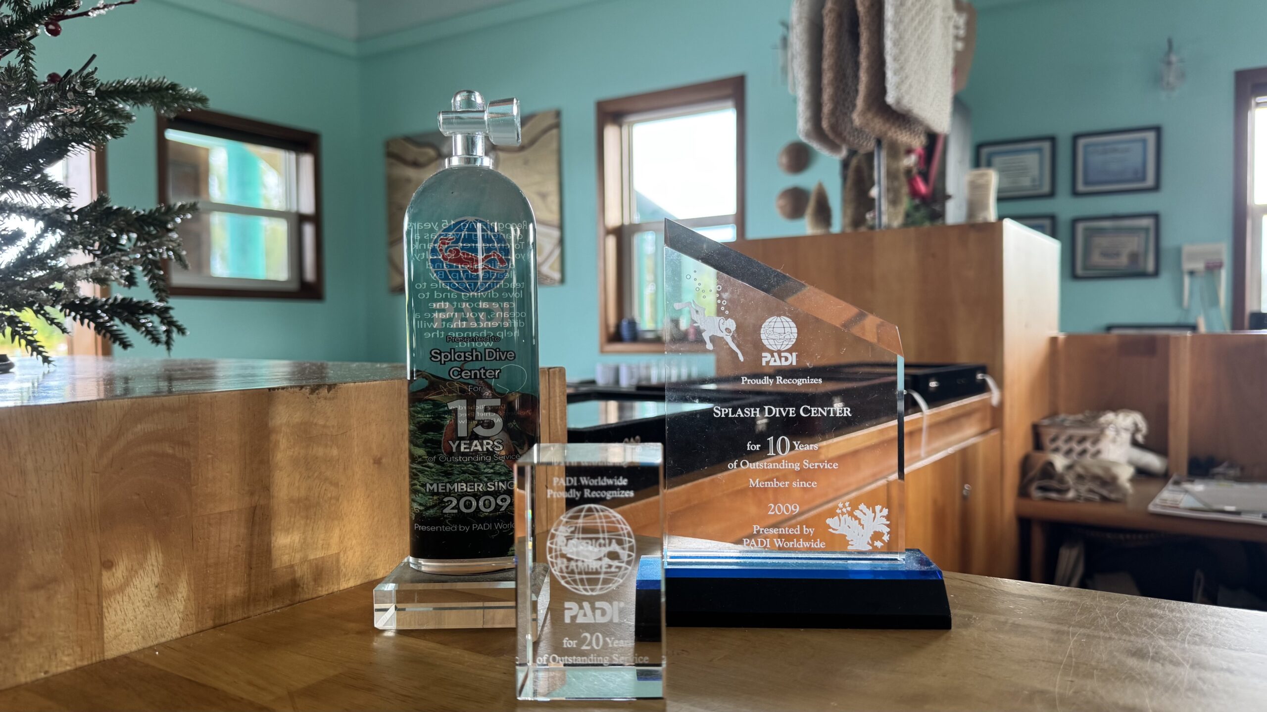 Scuba diver exploring vibrant coral reef underwater at Splash Dive Center with clear blue water background