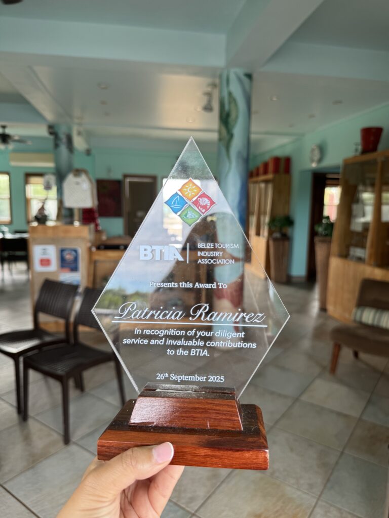 Scuba diver exploring vibrant coral reef underwater with colorful fish swimming nearby at Splash Dive Center.